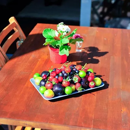 Dom wakacyjny Minimalist Sapanca