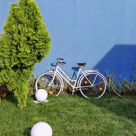 Minimalist *